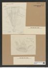 Aulacodiscus angulatus var. neogradensis (Pant.) Rattr. (de-Toni-Nr.: Genus 182, Species 4505) Zeichnungen Sammlung Grunow Nr. 8077 (NHMW-BOT-W0377404)